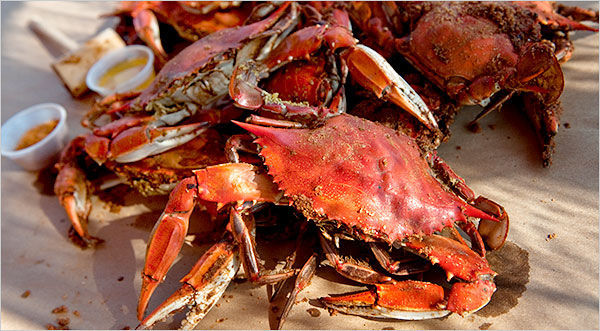 "Buellton Crab Feast!"